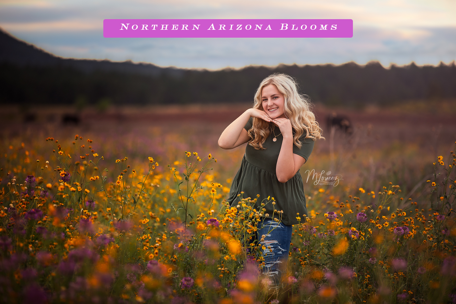 Northern Arizona Blooms